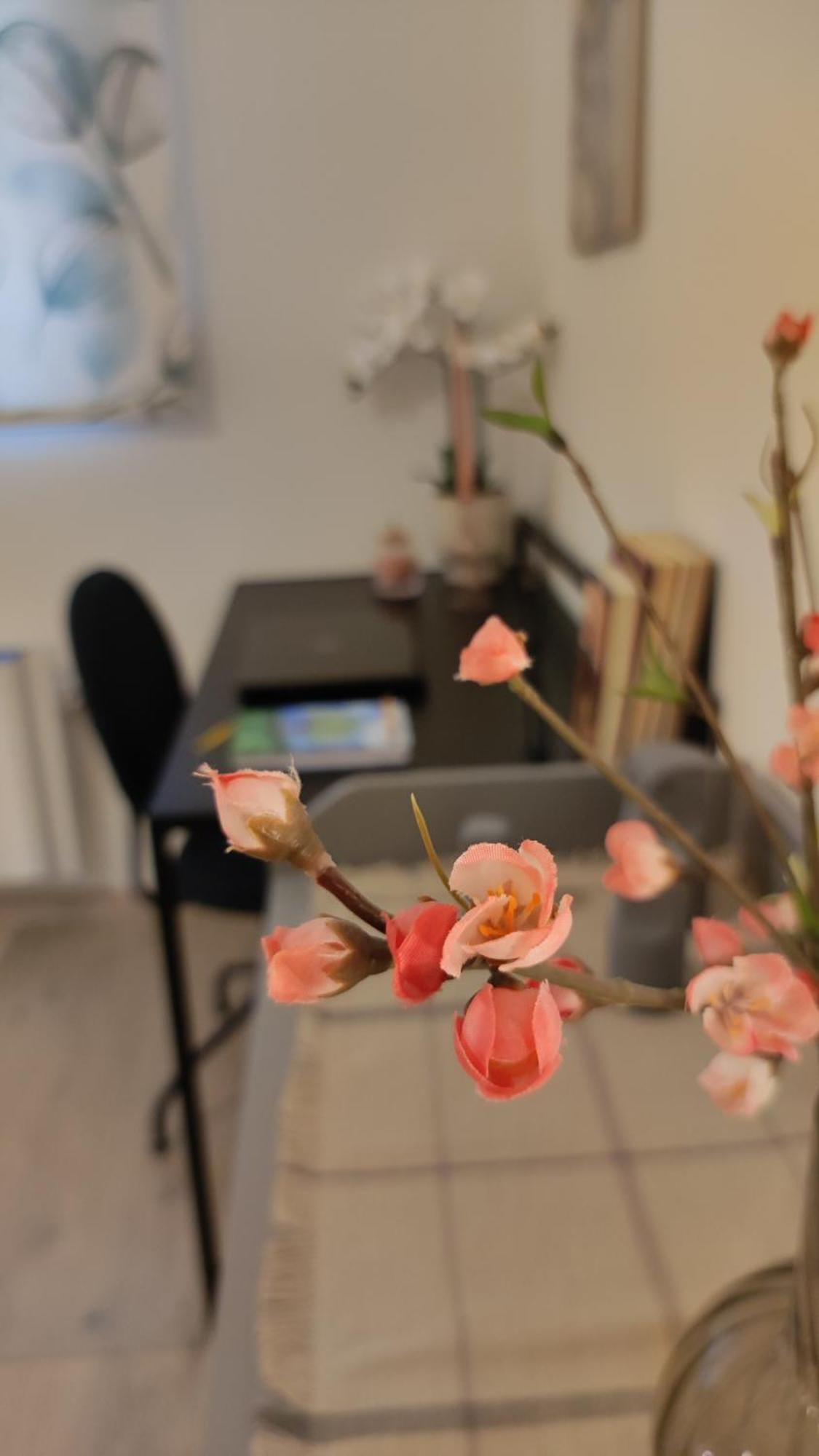 Minoan Gem Apartment 伊拉克利翁 外观 照片